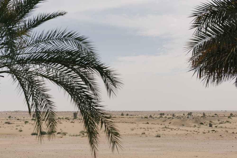 Пустыни Дубая: волшебство золотых песков - 1