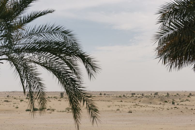 Пустыни Дубая: волшебство золотых песков