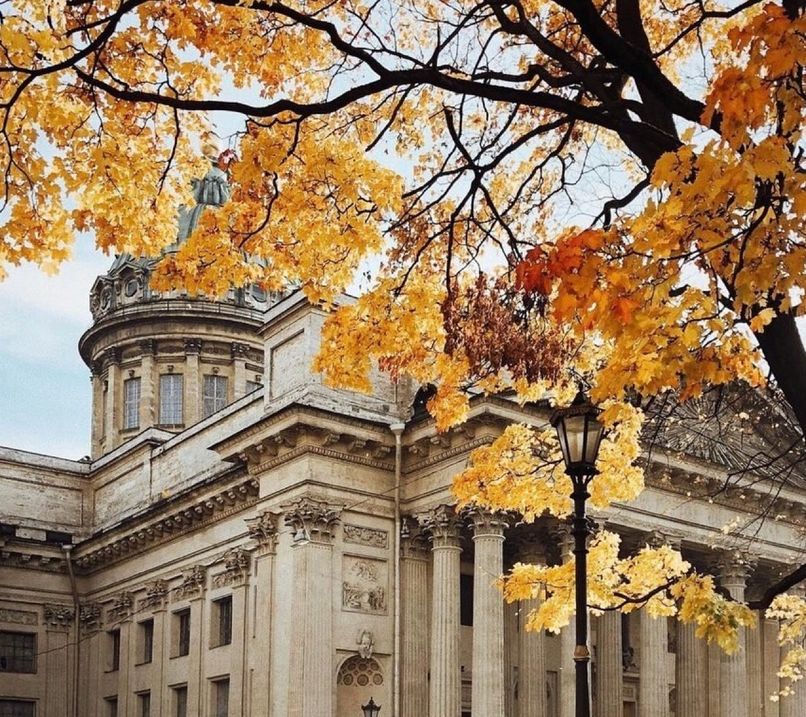 Очарование осеннего Санкт-Петербурга: причины посетить