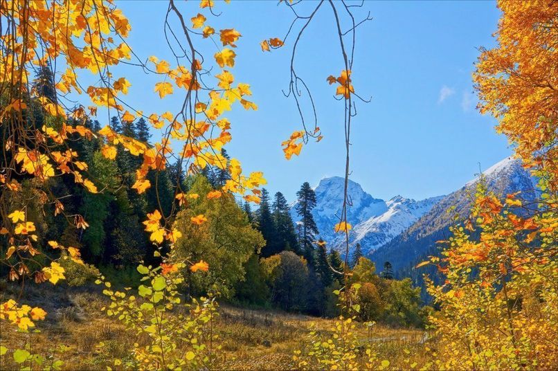 Осенние виды отдыха в Сочи: что делать в курортной столице России, когда лето заканчивается