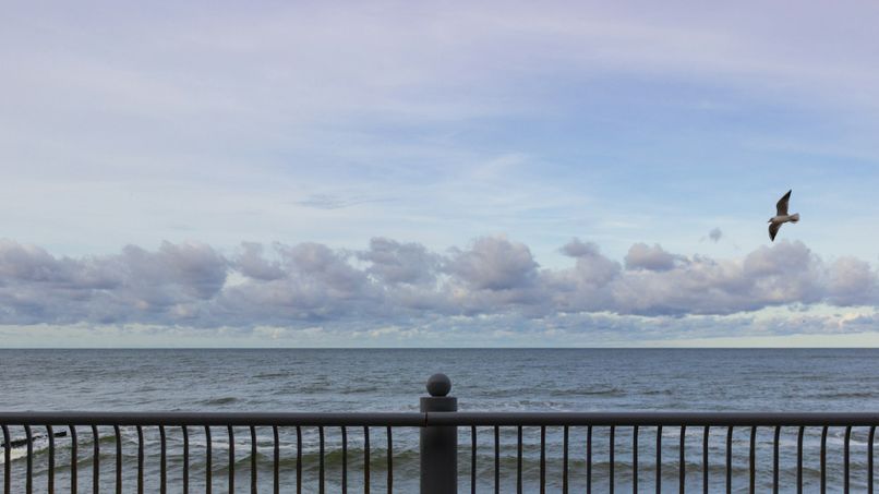 В Светлогорске откроют новый пляж