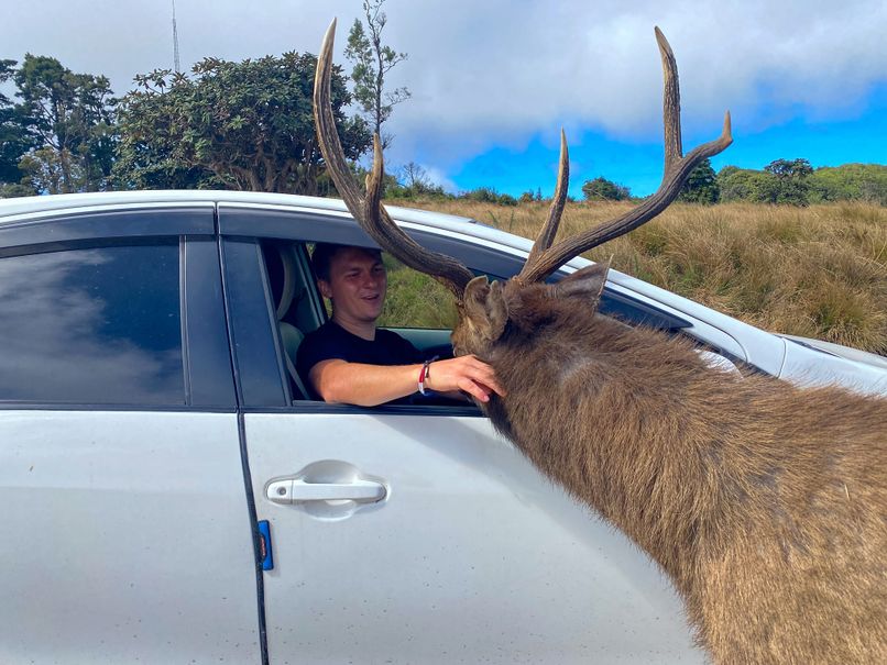 Что необычного посмотреть на Шри-Ланке туристу: обзор тревел-блогера