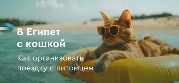 картинка - В Египет с кошкой