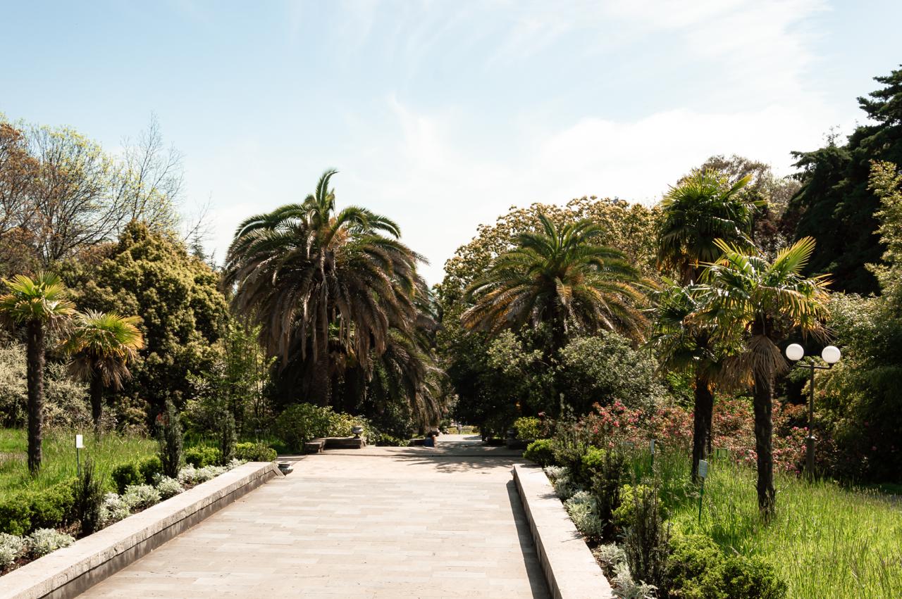 Картинка - Туры в Краснодарский край