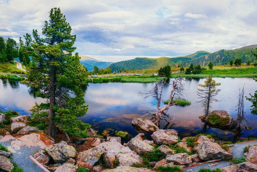 Свердловская область - 1