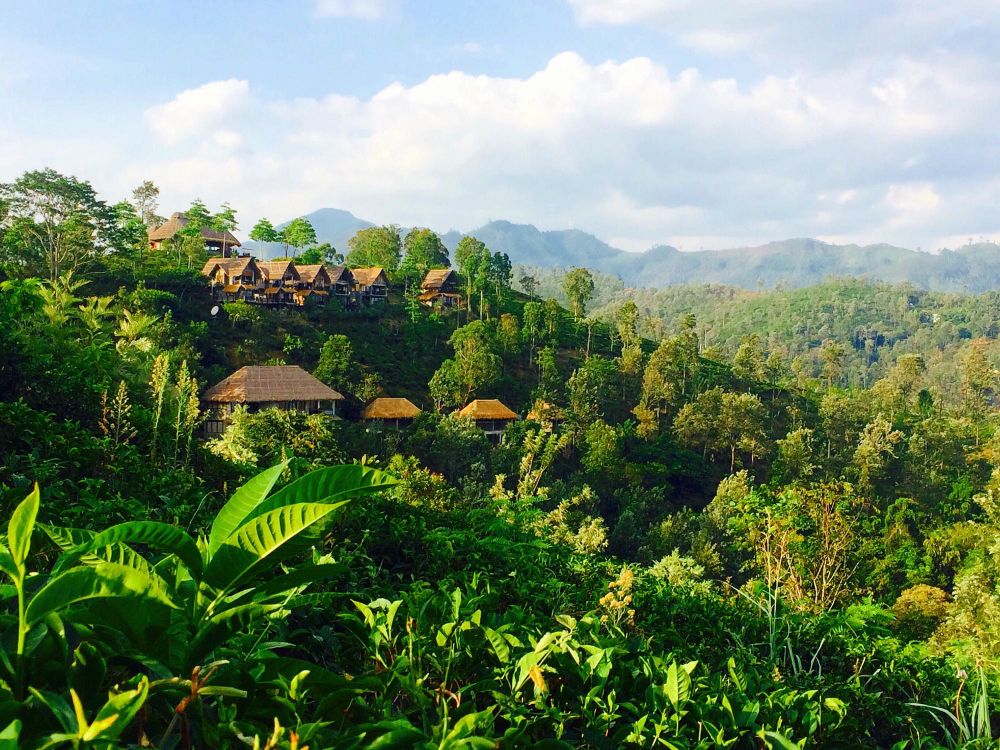 Нувара Элия - 1