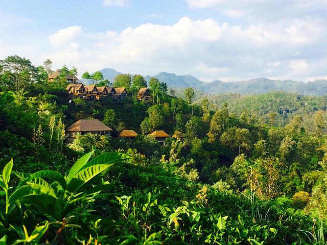 Нувара Элия