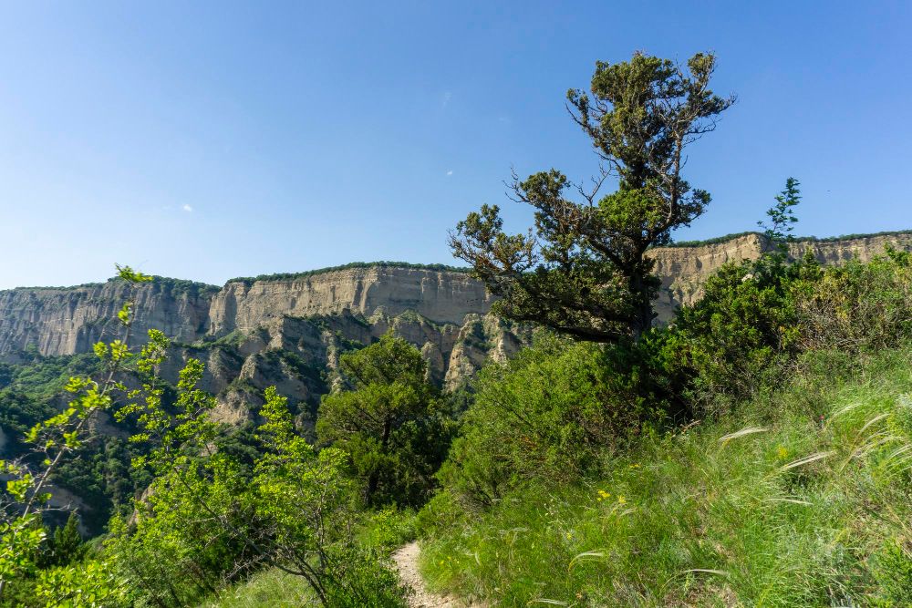 Крым (Центральный) - 1