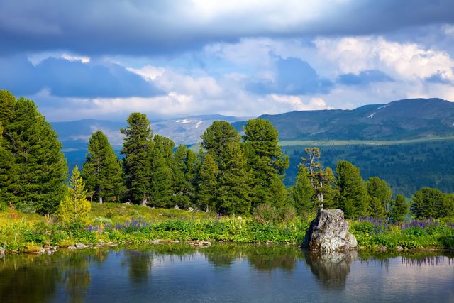 Бийский район