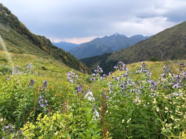 Краснодарский край