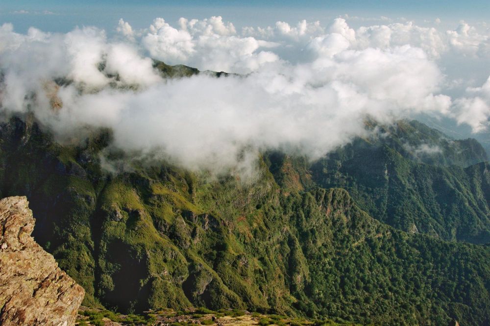 Остров Себу - 4