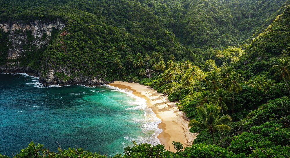 Остров Себу - 6