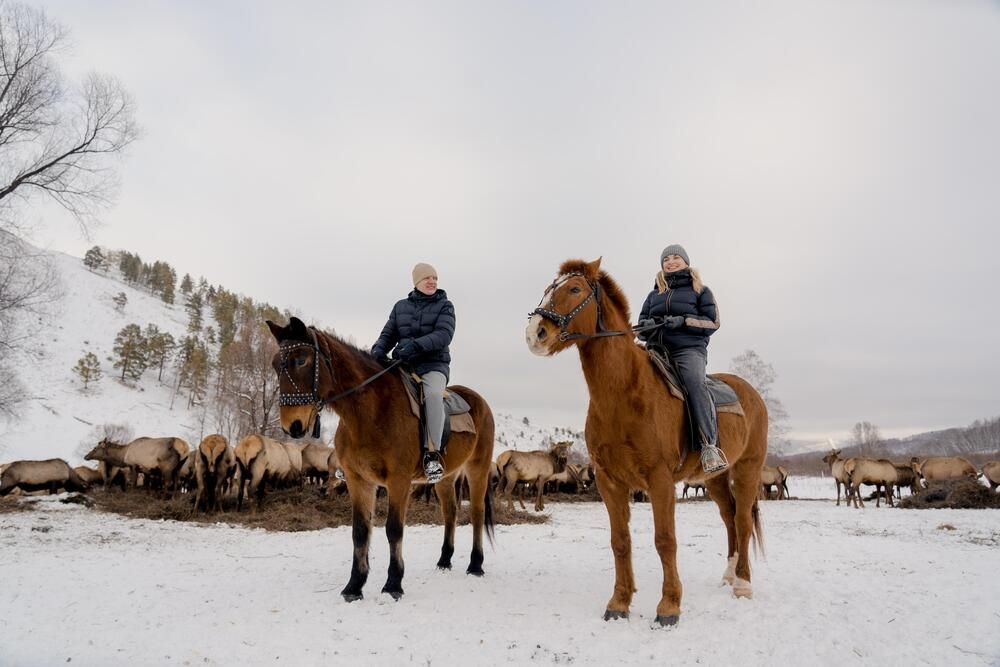 Картинка отеля - 9
