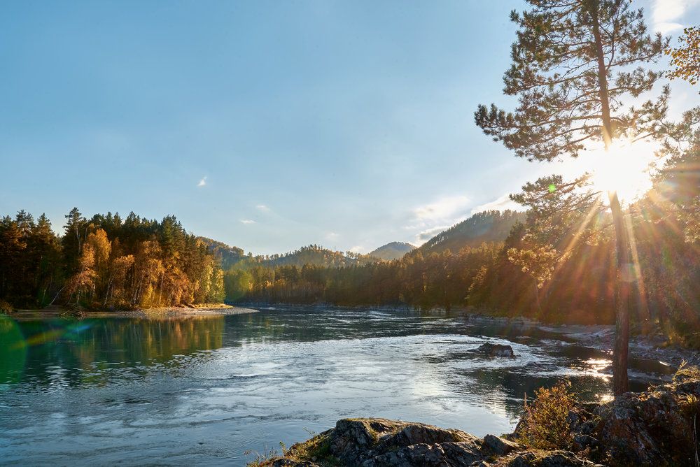 Картинка отеля - 3