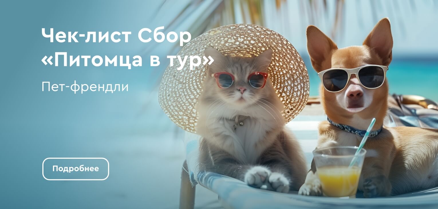 Картинка - Чек-лист Сбор «питомца в тур»