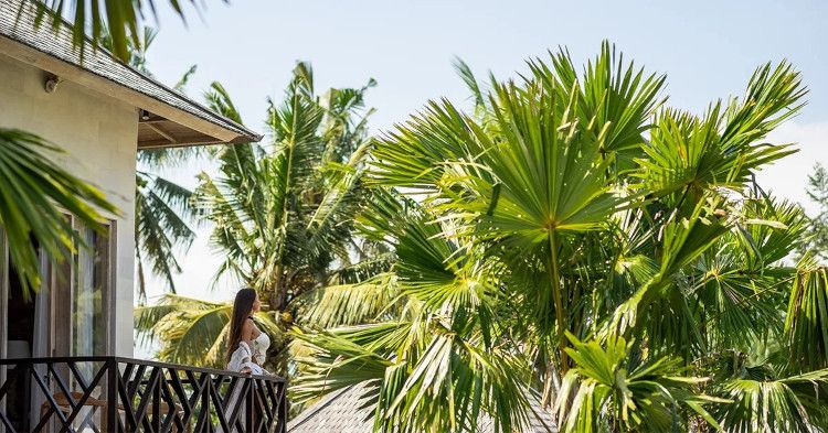 Картинка отеля - 17