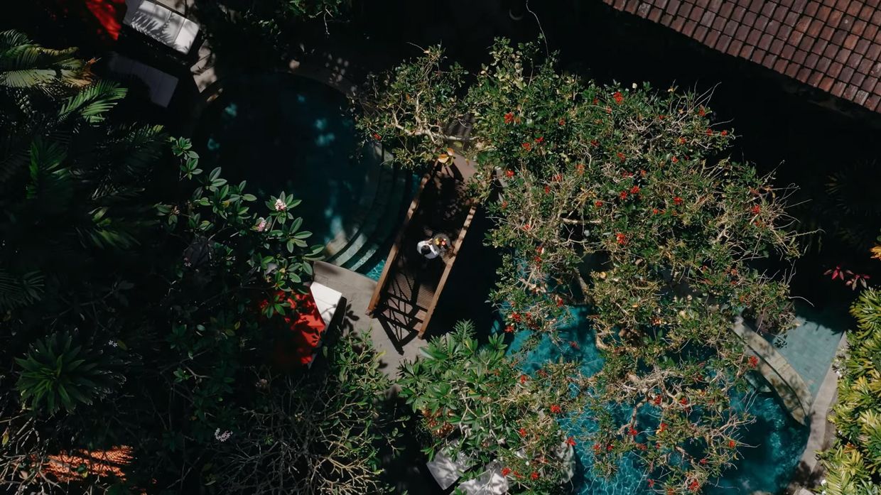 ADIWANA MONKEY FOREST - 9