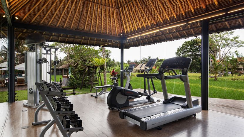 PLATARAN UBUD HOTEL & RESORT - 6