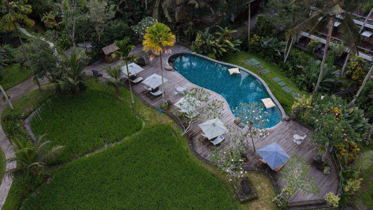 PLATARAN UBUD HOTEL & RESORT - 1