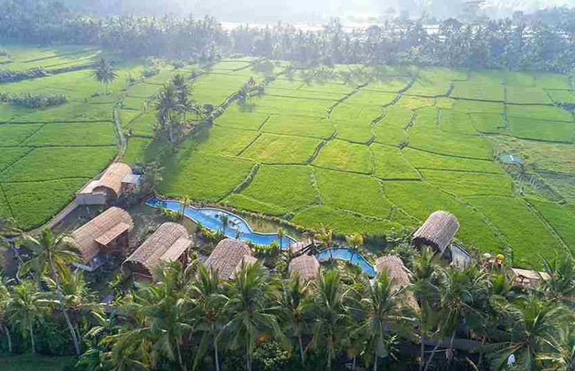 BEEHOUSE DIJIWA UBUD (only adults 16+) - 1