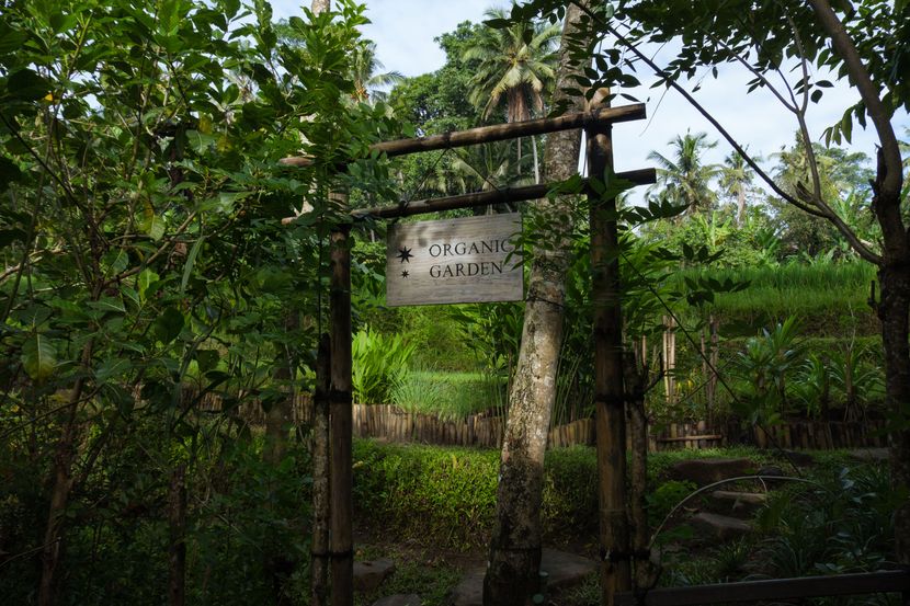 CAPELLA UBUD - 5