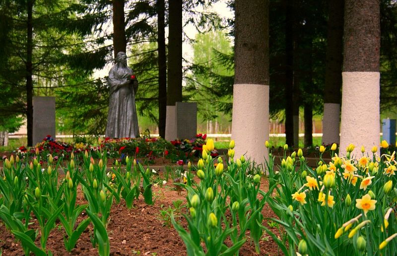 Картинка отеля - 11