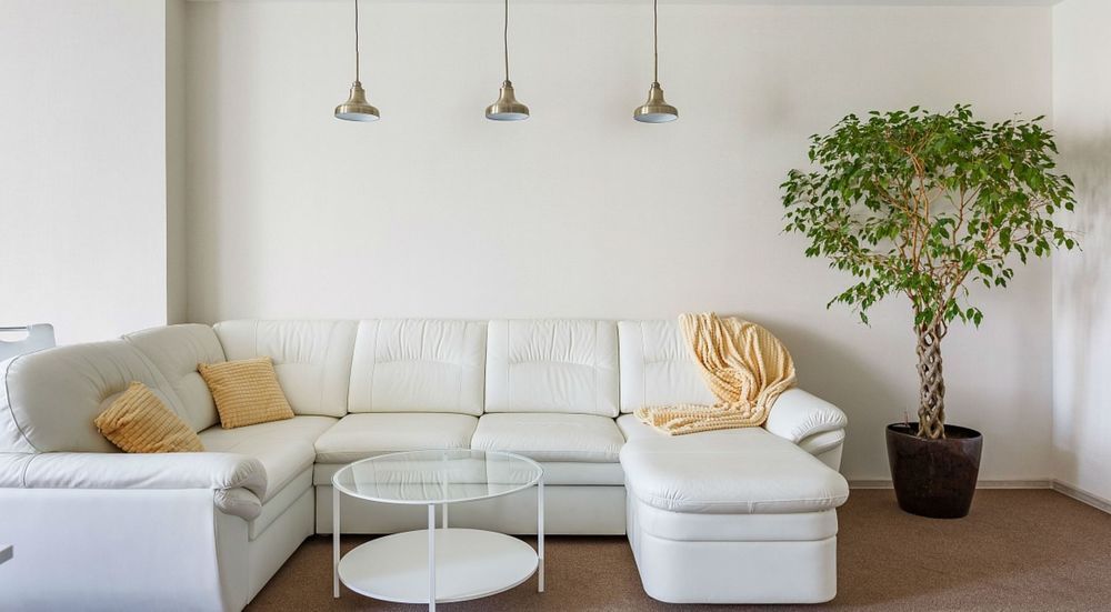 Картинка отеля - 15