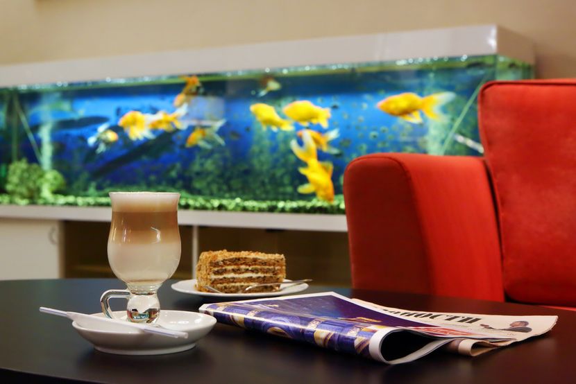 PARK TOWER HOTEL, гостиница - 4