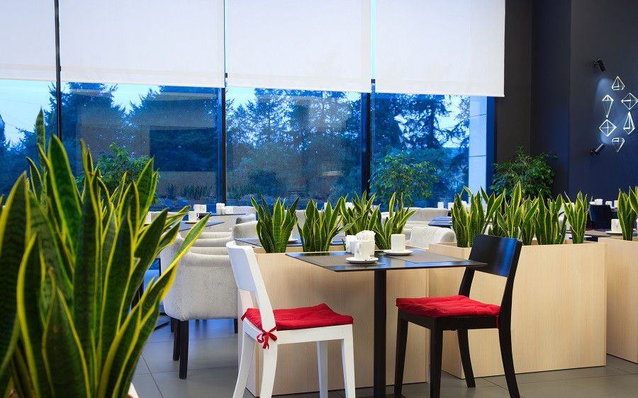 Картинка отеля - 11