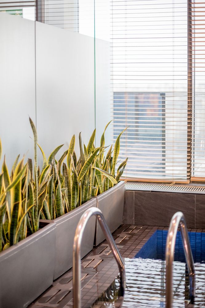 SHERATON PLAZA UFA CONGRESS HOTEL, гостиница - 37