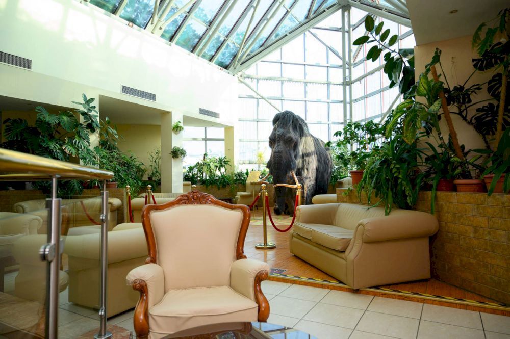 Картинка отеля - 5