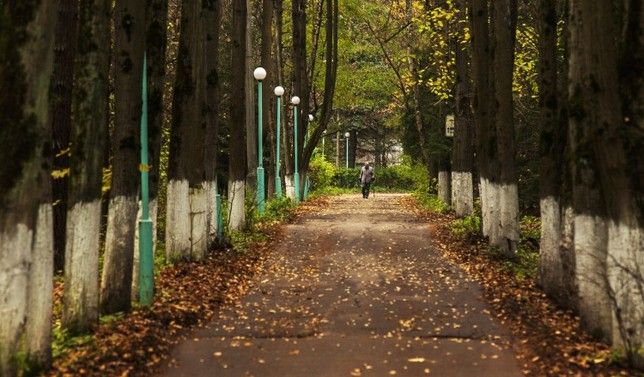 ПЕРЕДЕЛКИНО, санаторий - 8