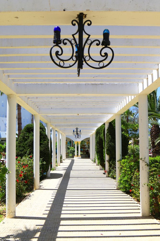 Картинка отеля - 5