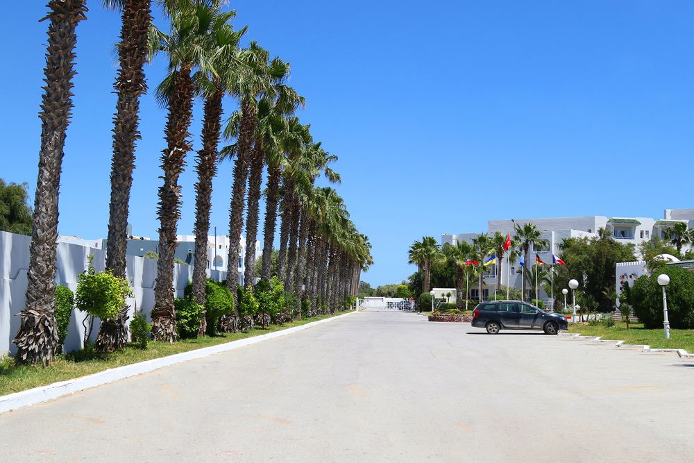 Картинка отеля - 12