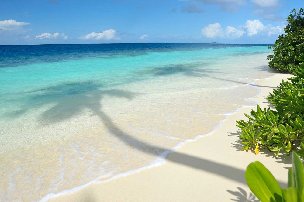 ROBINSON CLUB MALDIVES (only adults 18+) - 4