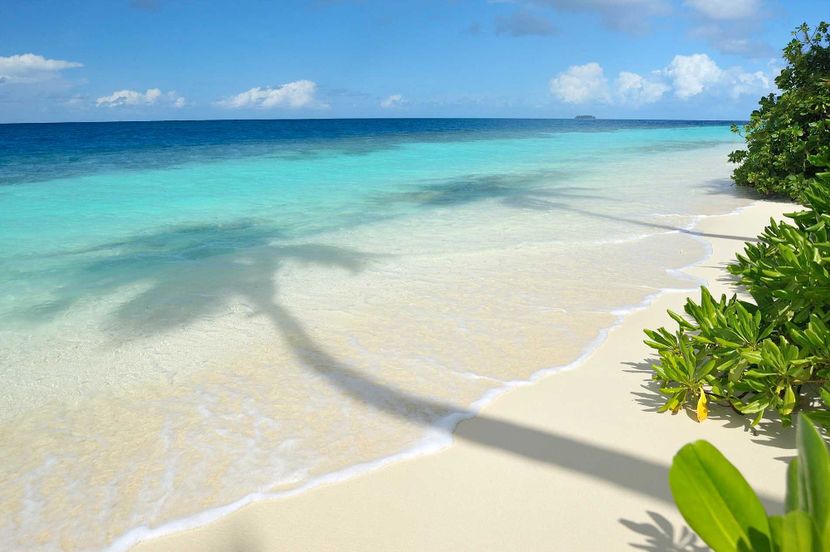 ROBINSON CLUB MALDIVES (only adults 18+) - 4