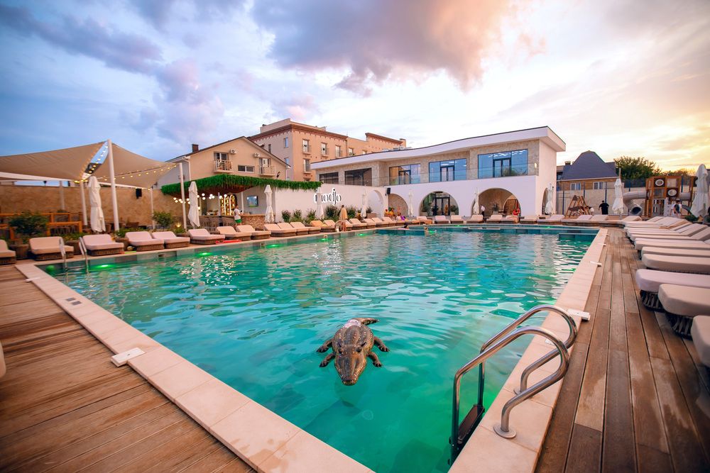 MODJO (бывш. ДОННА РОЗА, отель (Евпатория)) - 37