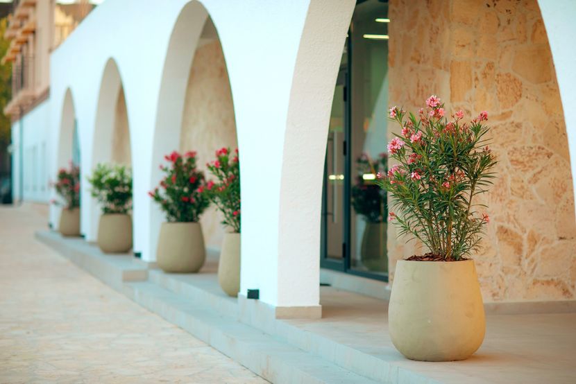 MODJO (бывш. ДОННА РОЗА, отель (Евпатория)) - 3