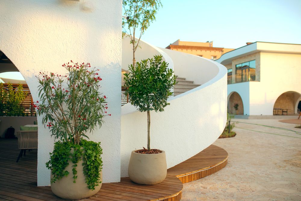 MODJO (бывш. ДОННА РОЗА, отель (Евпатория)) - 5