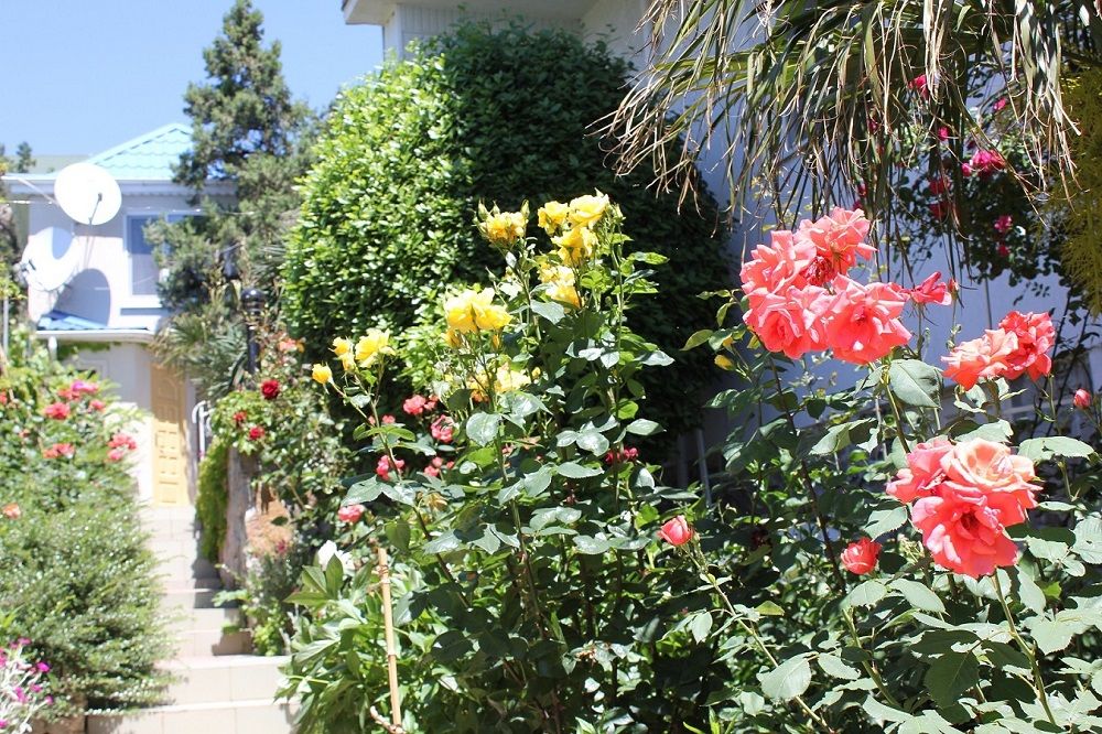 АННИ, гостевой дом - 23