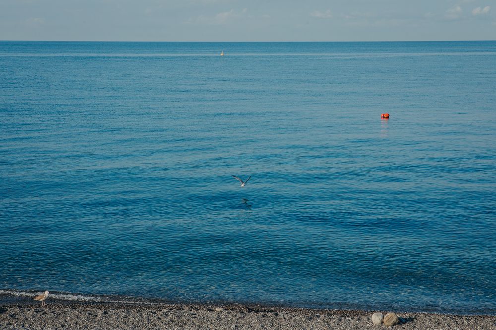 SWISSOTEL RESORT SOCHI KAMELIA отель - 11