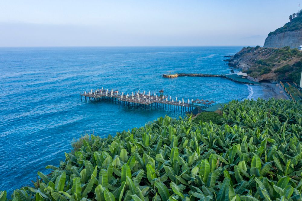 World The Hotel Utopia  - 91