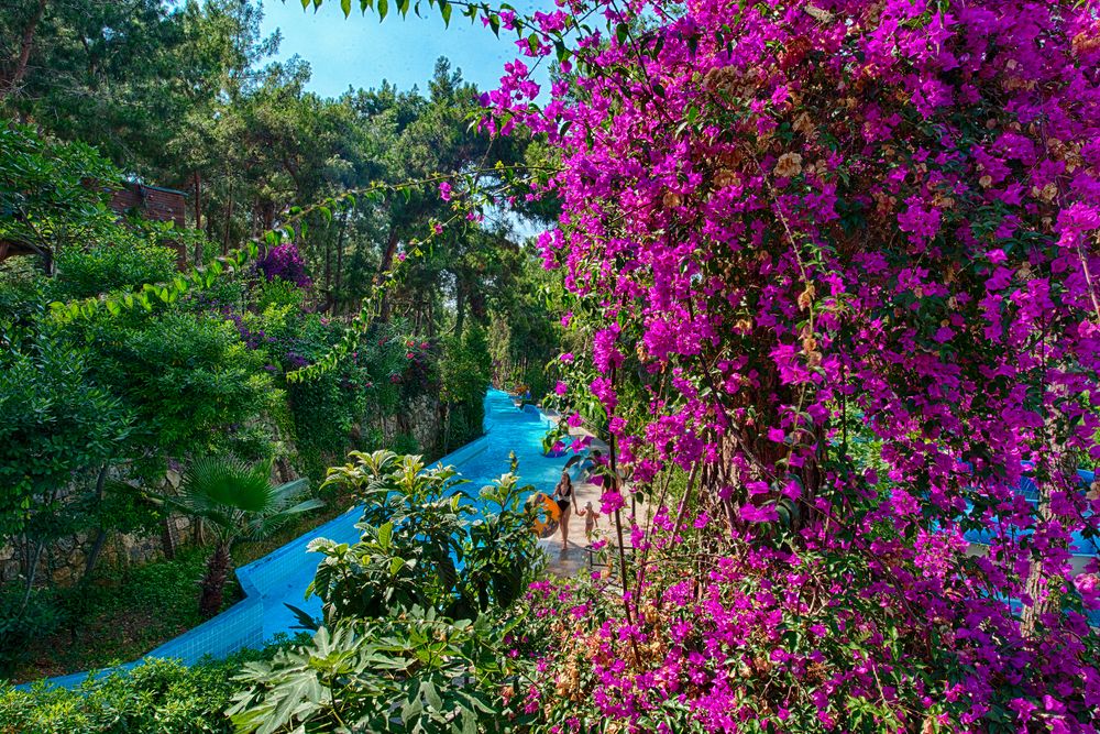 World The Hotel Utopia  - 80