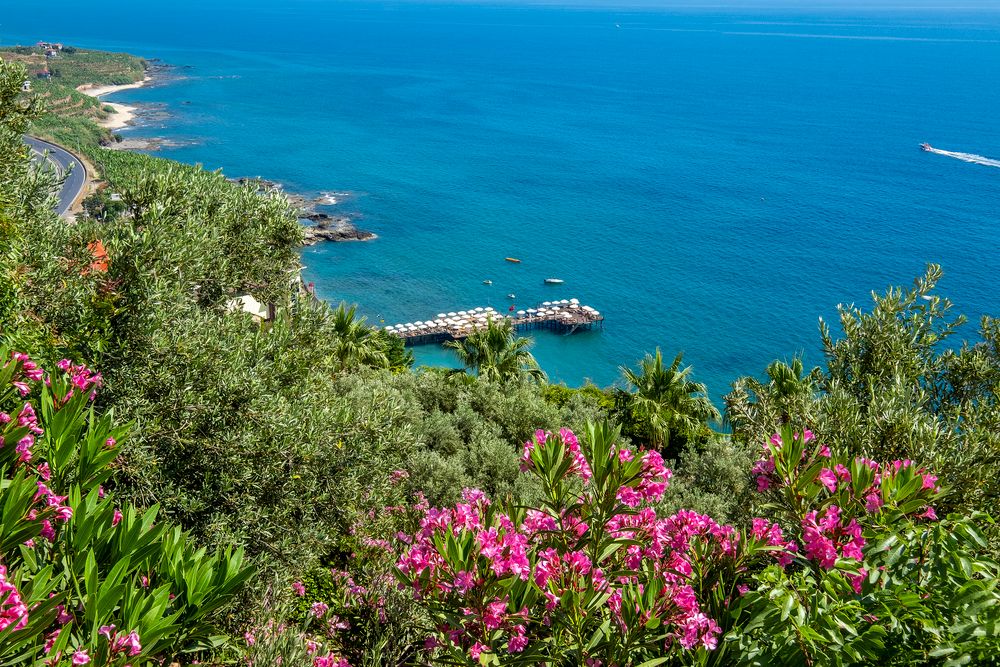 World The Hotel Utopia  - 2