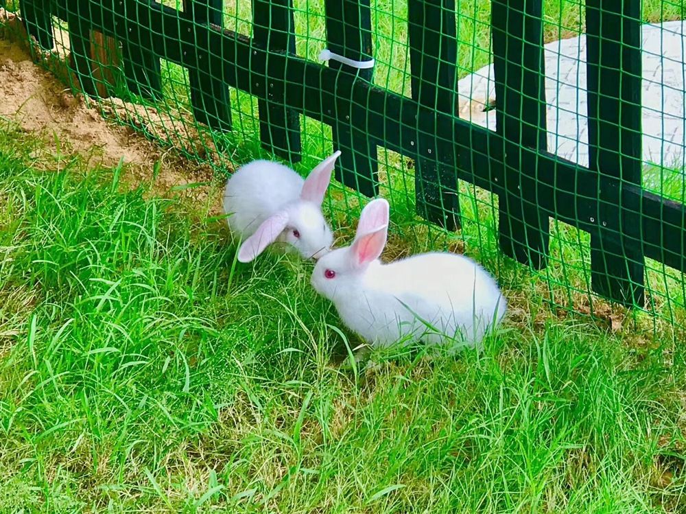 RENAISSANCE SANYA HAITANG BAY RESORT - 69