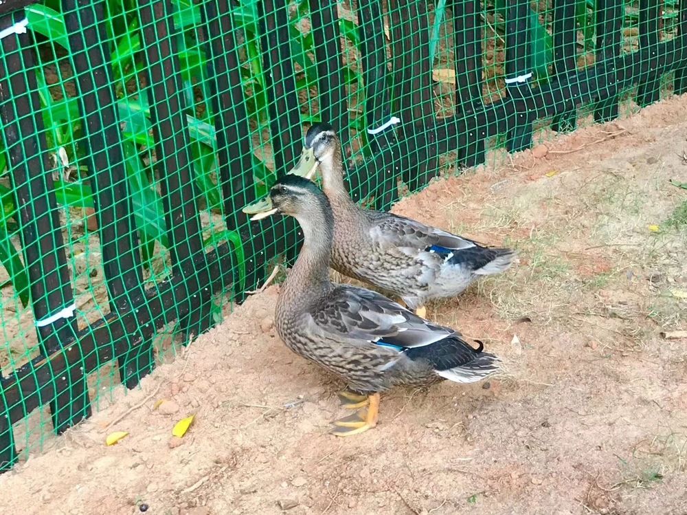 RENAISSANCE SANYA HAITANG BAY RESORT - 68