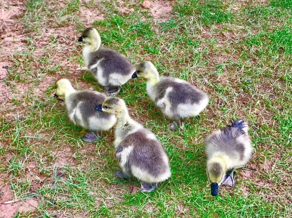 RENAISSANCE SANYA HAITANG BAY RESORT - 70
