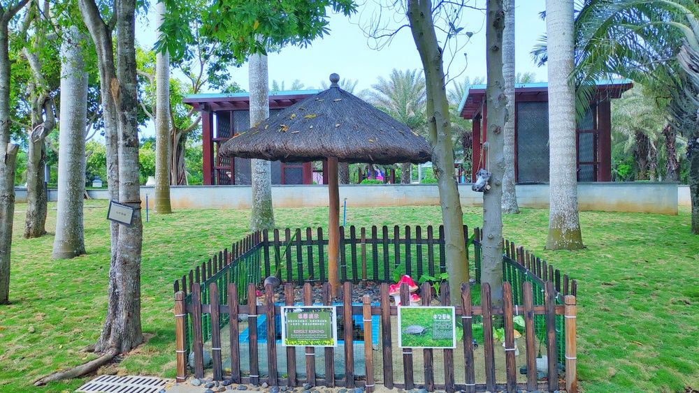 Картинка отеля - 63