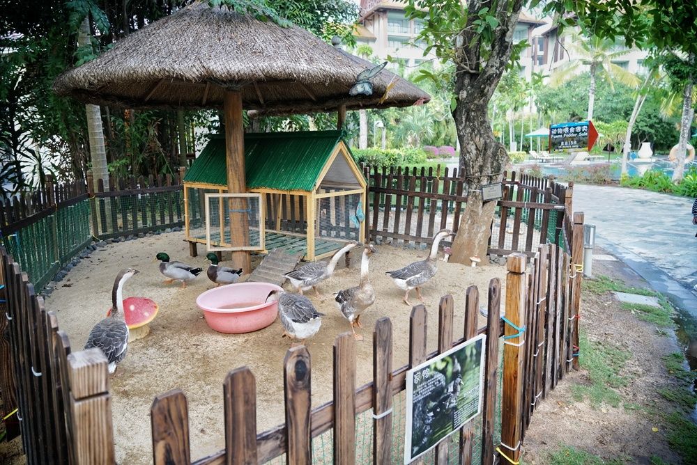 RENAISSANCE SANYA HAITANG BAY RESORT - 62