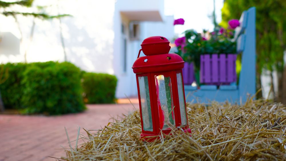 Irem Garden Family Club Hotel - 36